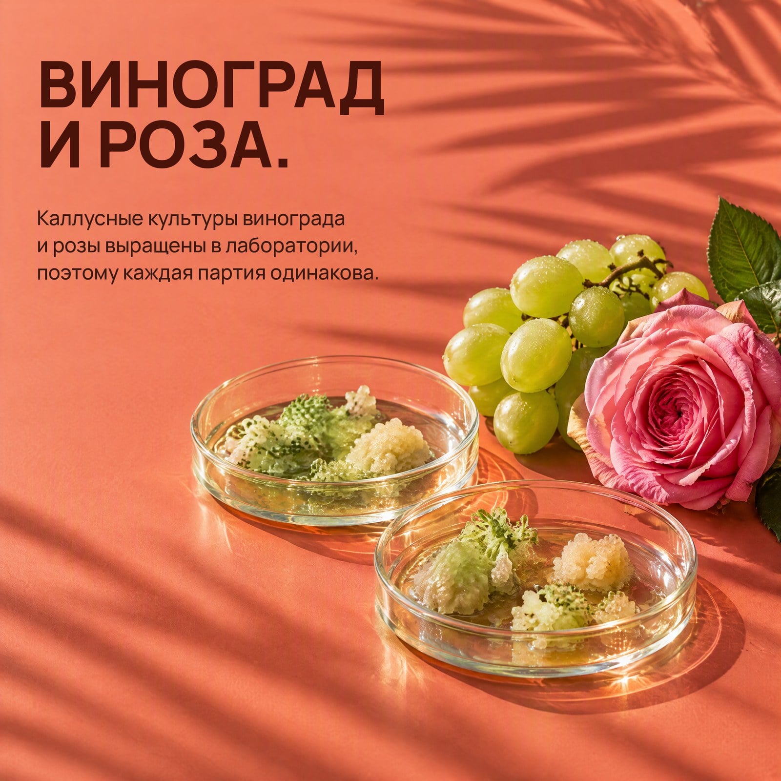 Каждый процент во флаконе.