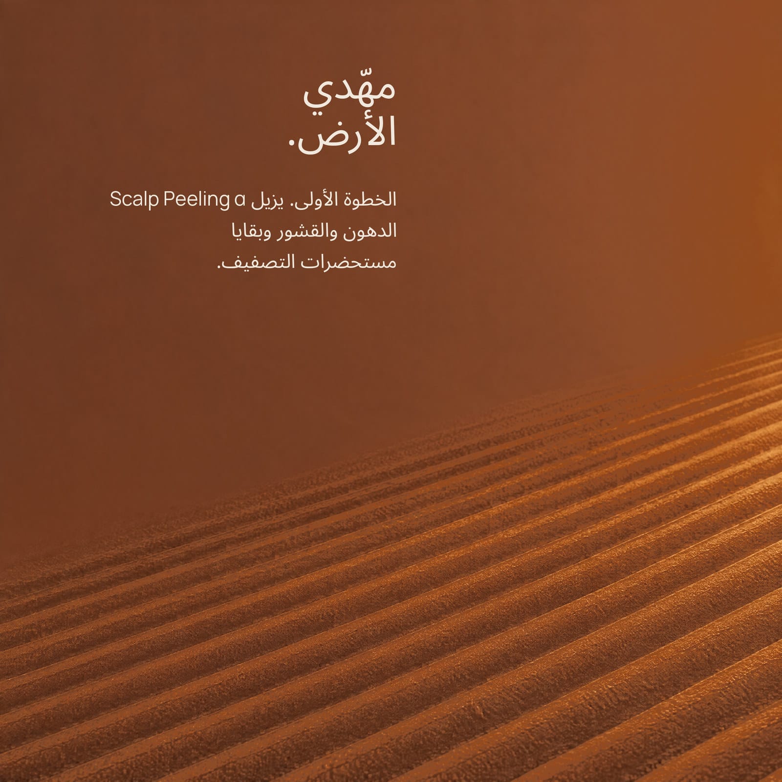 التنظيف