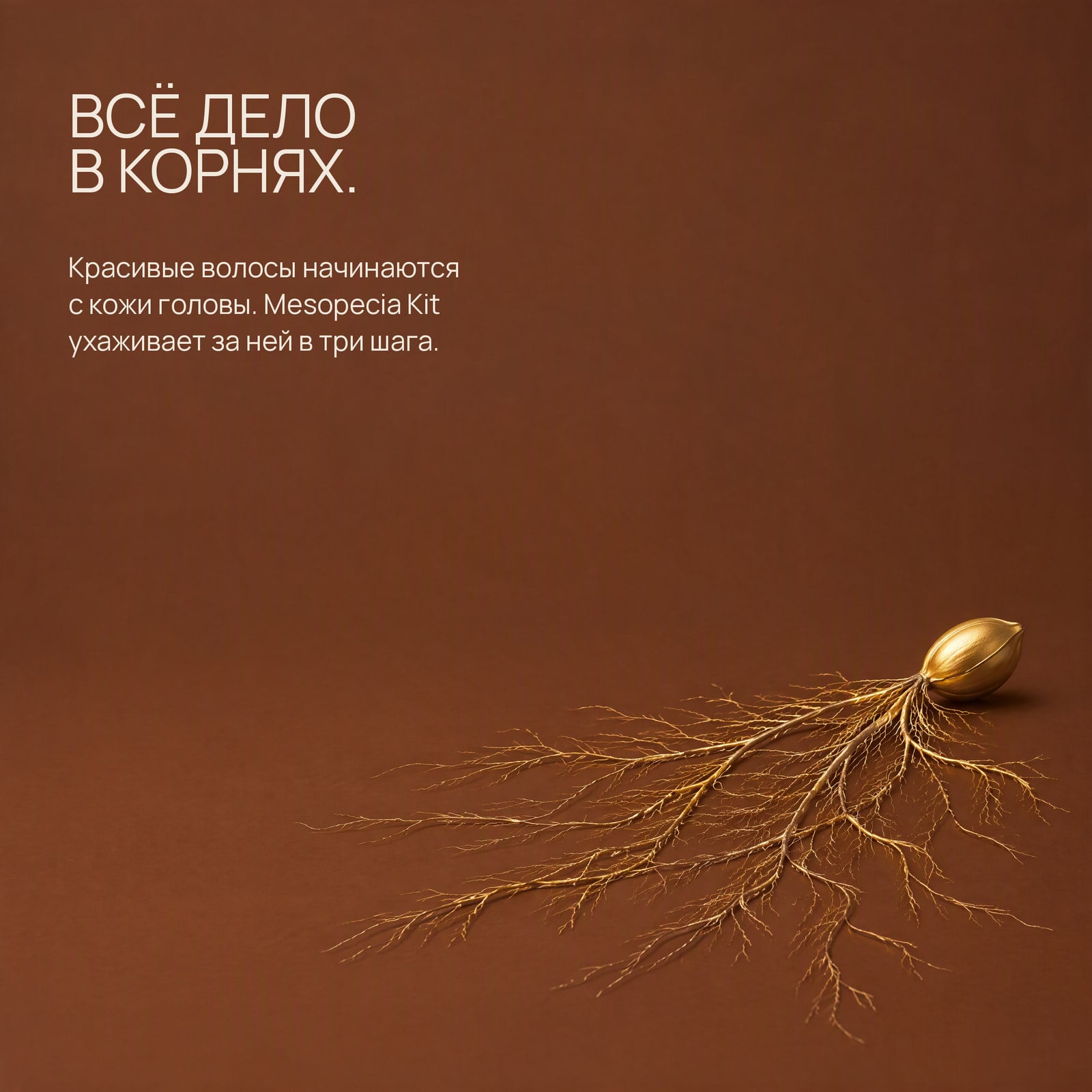 Волосы растут из кожи головы. Уход начинается там же.