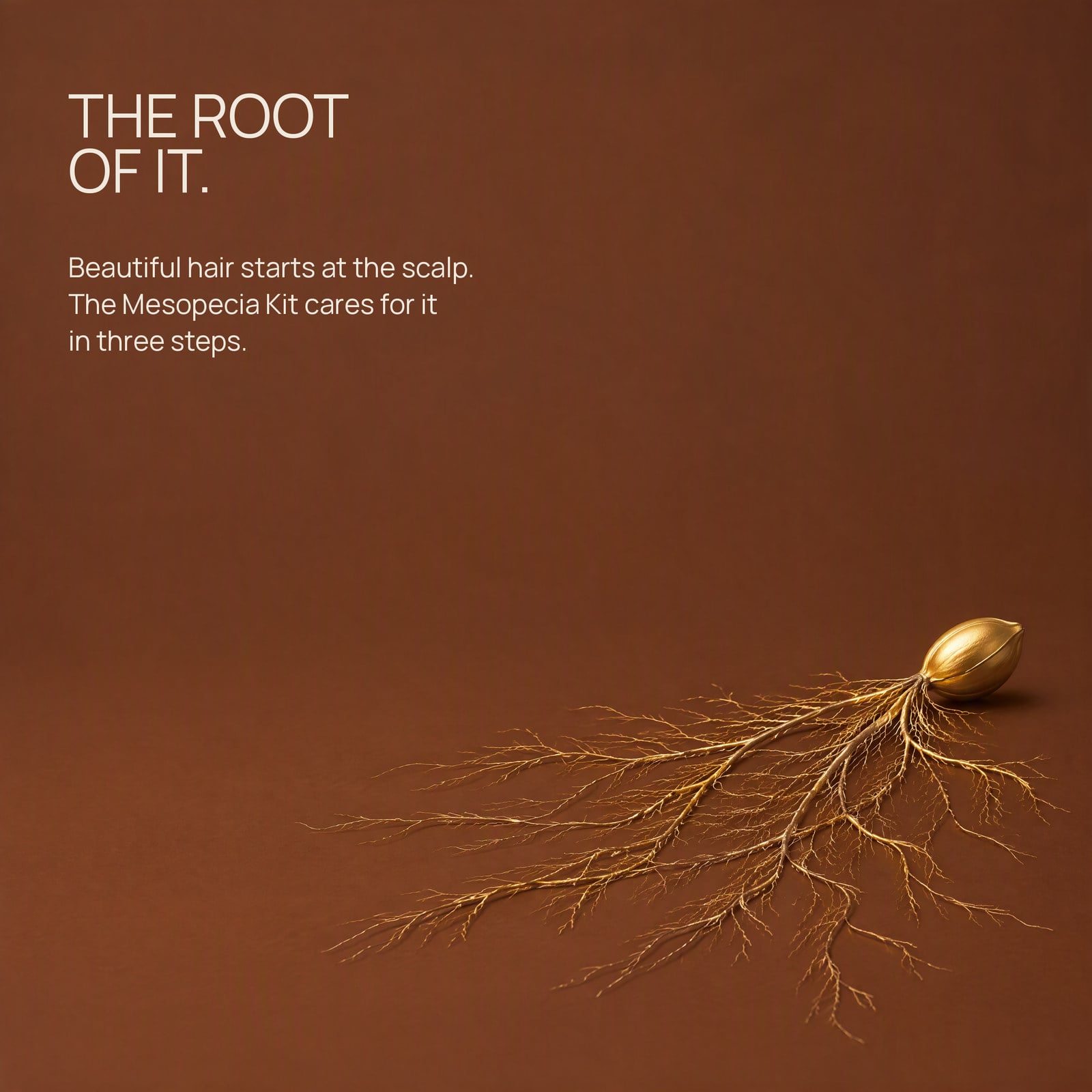 Hair grows from the scalp. Care starts there.
