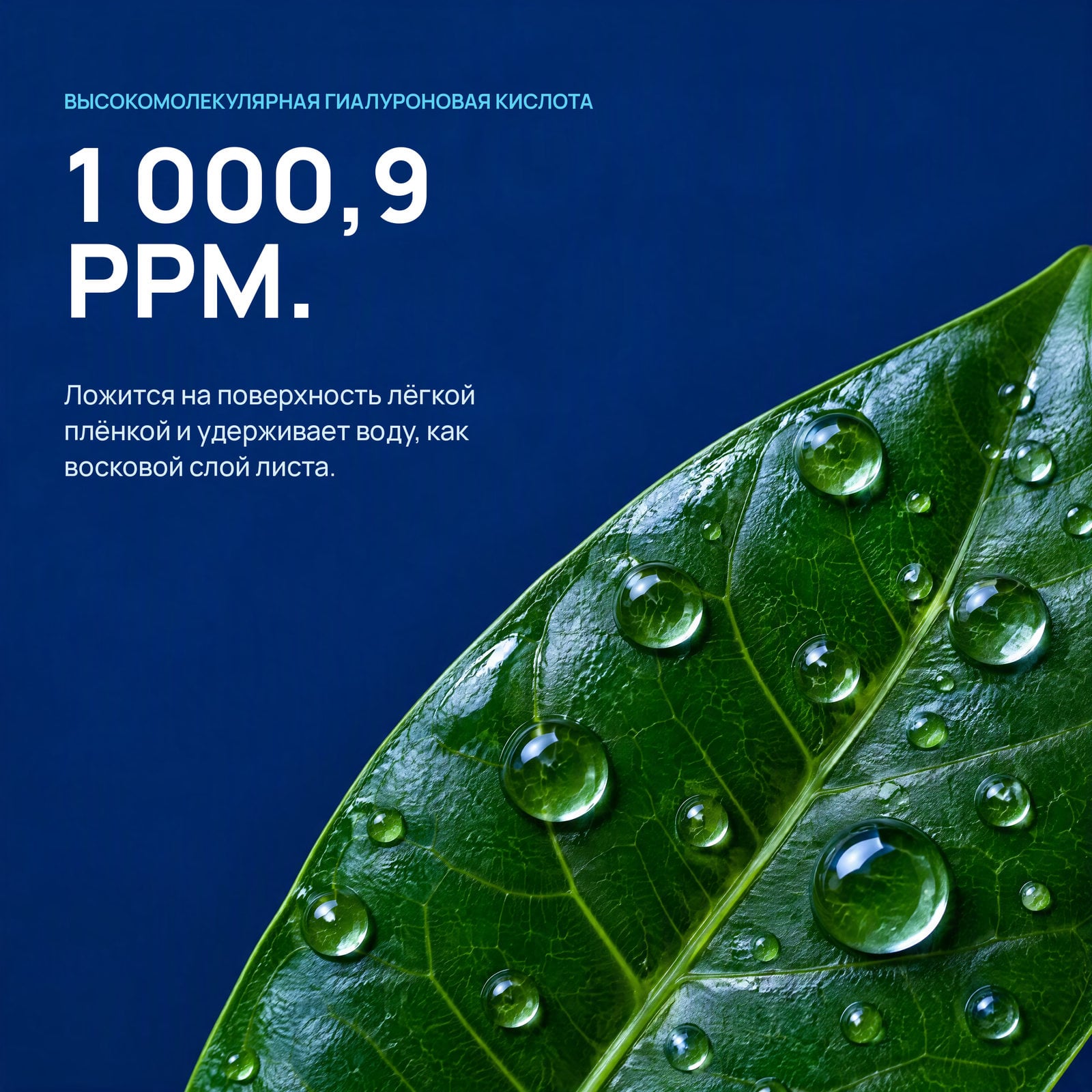Комплекс Hyaluronan 11 во главе с 1 000,9 ppm высокомолекулярной гиалуроновой кислоты