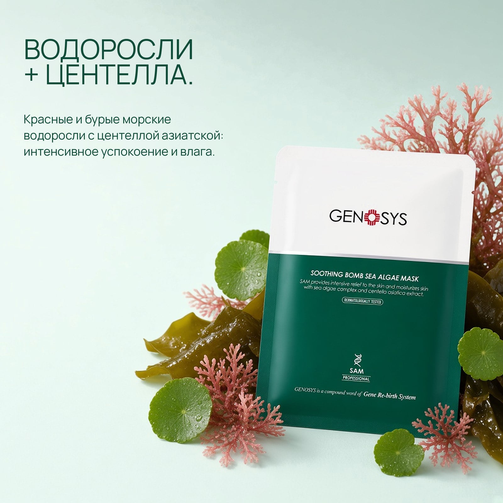 Морские водоросли и центелла